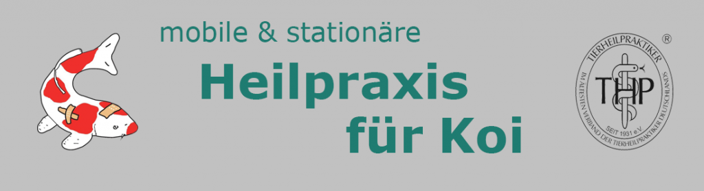 Logo der Heilpraxis für Koi