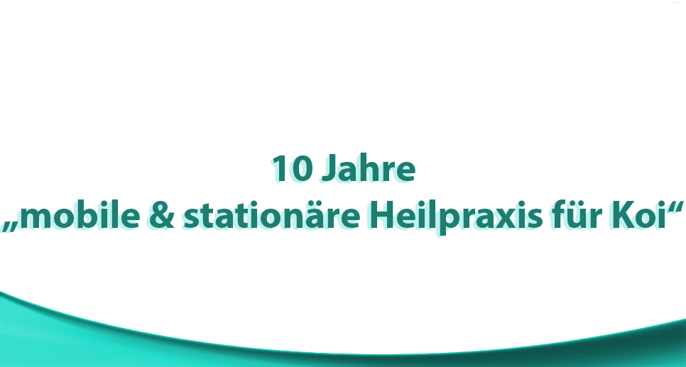 10 Jahre Koi-Heilpraxis