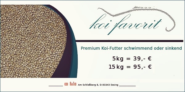 Koi-Favorit Banner