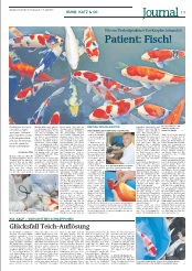Münchner Merkur Artikel